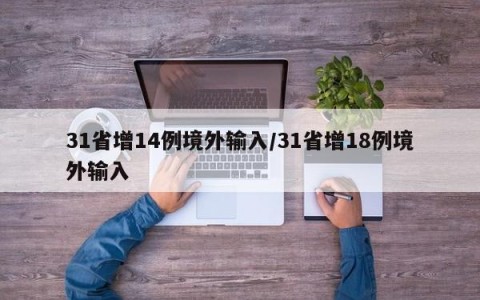 31省增14例境外输入/31省增18例境外输入